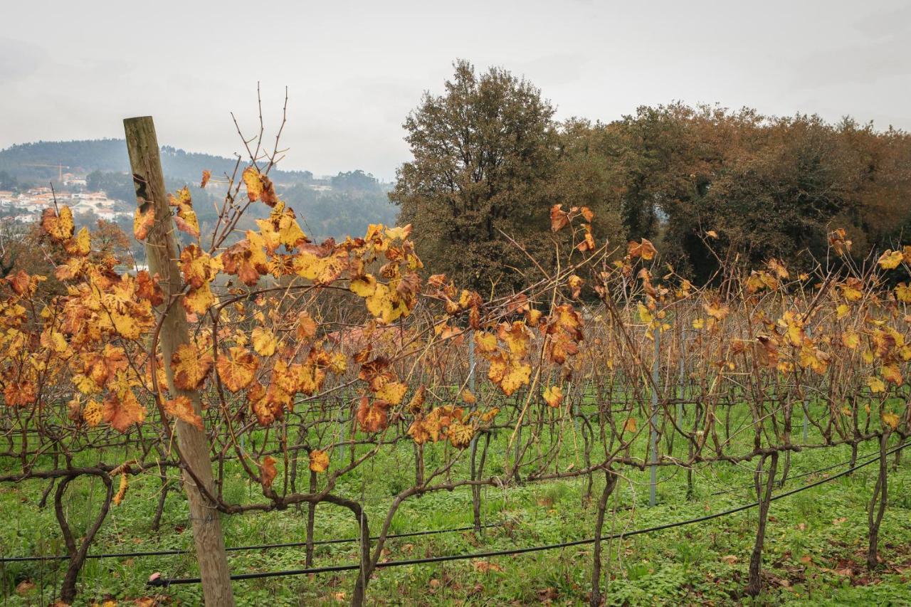 Quinta Pousada De Fora Wines & Tourism Guimarães Extérieur photo