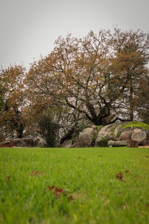 Quinta Pousada De Fora Wines & Tourism Guimarães Extérieur photo