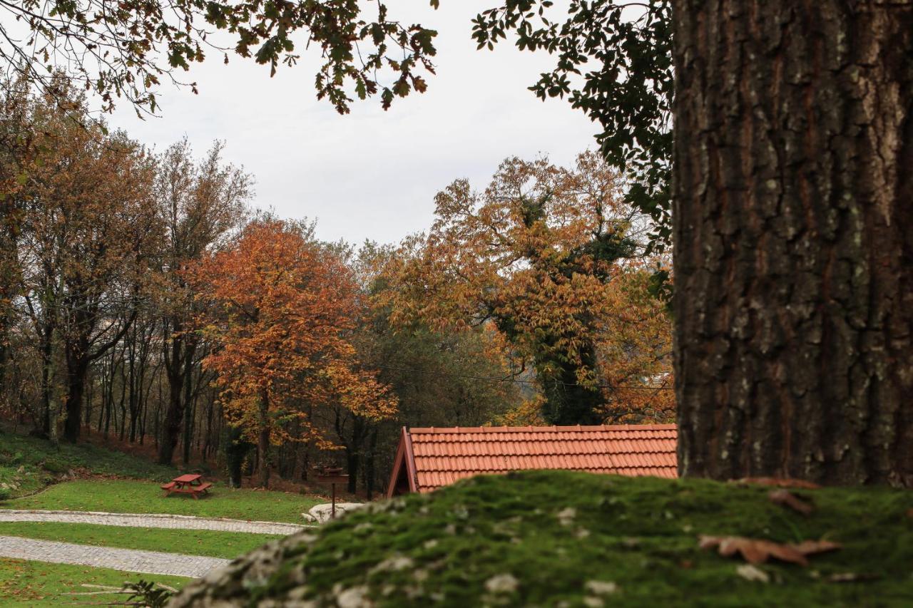 Quinta Pousada De Fora Wines & Tourism Guimarães Extérieur photo