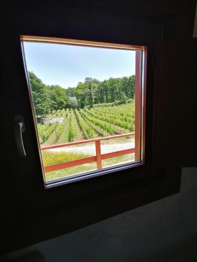 Quinta Pousada De Fora Wines & Tourism Guimarães Extérieur photo